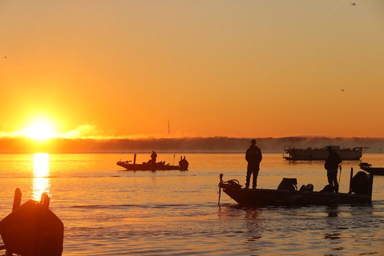 Anglers may broaden the search during MAXAM Tire Bassmaster Elite at St. Johns River