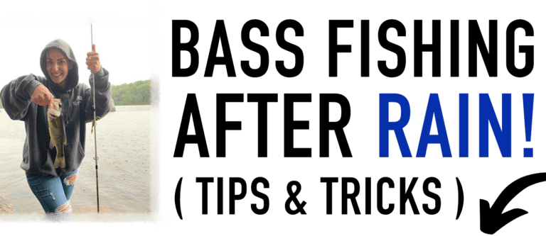 Bass Fishing After Rain! ( Tips & Tricks ) – By Fresh Baitz