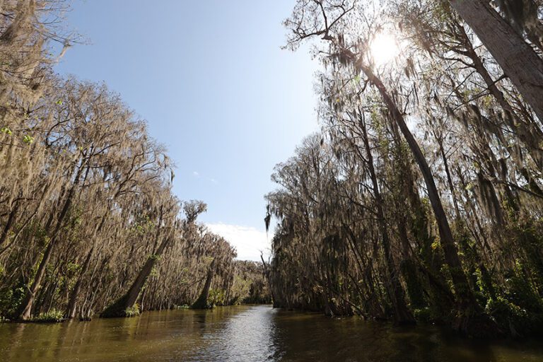 Seasonality to offer another shade of Harris Chain’s complexion for Bassmaster Elite Series event