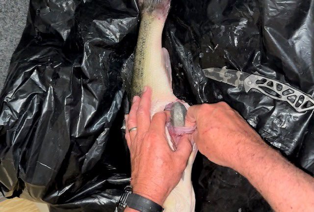 The Bass Fishing Scandal: Aaron Moreau’s Catch of Lies