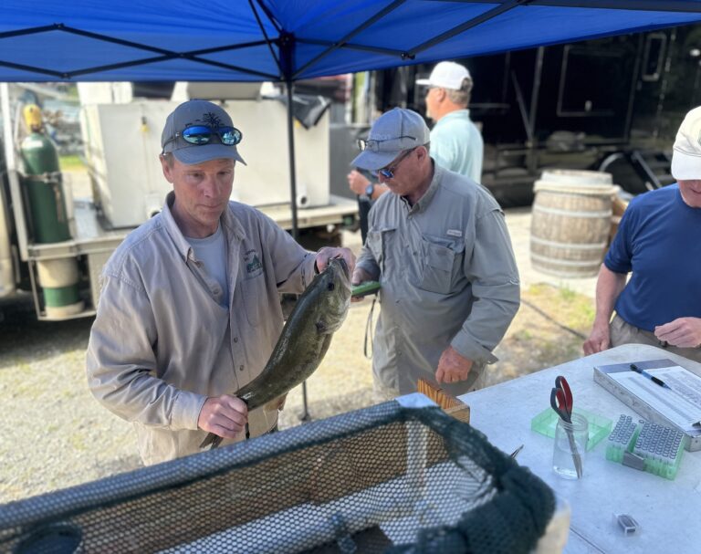 What goes on behind the scenes with VA Game & Fish at the Big Bass Tour event Smith Mountain Lake