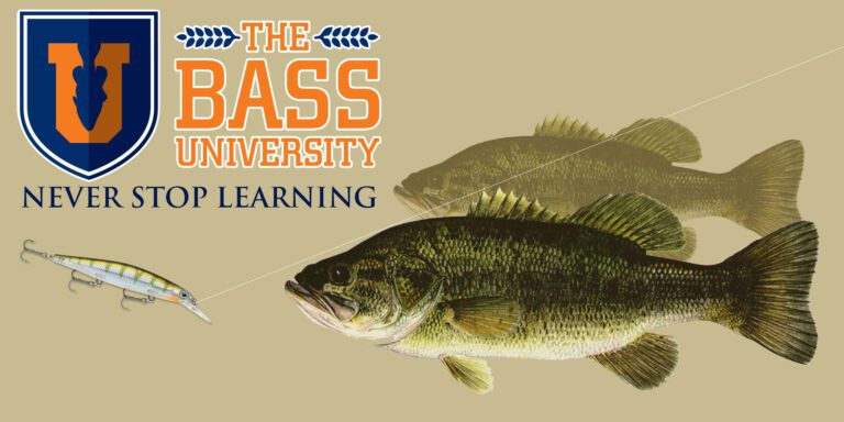 Mastering Bass Fishing with Bass University: A Deep Dive into Angler Education