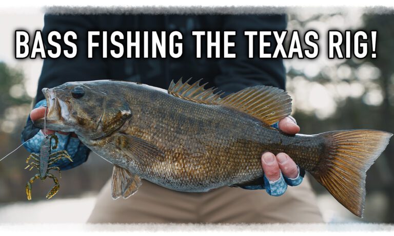 Bass Fishing the Texas Rig for More Success!