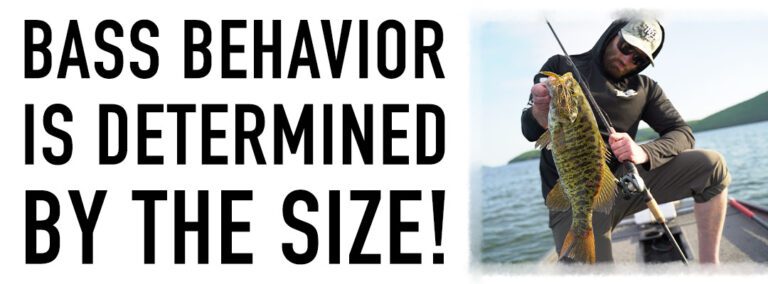 Uncover Why Bass Behaviors Shift with Size!