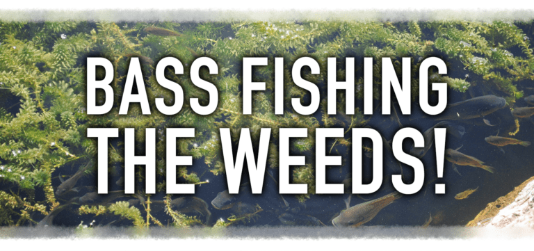 Master Weed Fishing for Huge Summer Bass!