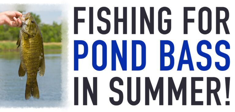 Fishing Ponds for Huge Bass in the Summer!