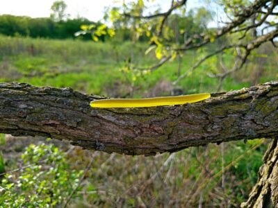 The Truth About Bait Color in Summertime Bass Fishing