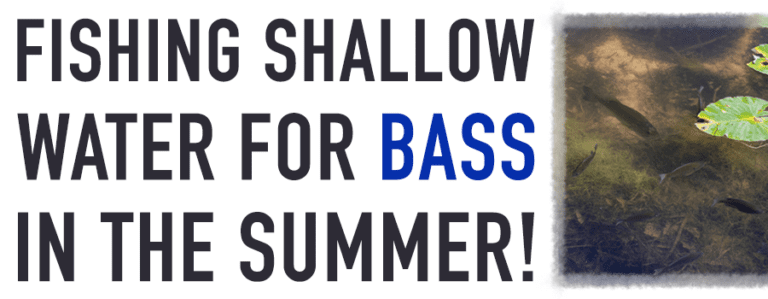 FISH SHALLOW WATERS FOR SUMMER BASS!