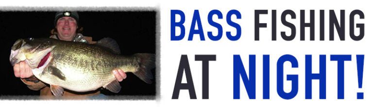 Catch Trophy Bass at Night with Local Secrets!