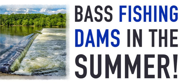 Fishing Dams in the Summer for More Bass!