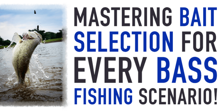 Master Bass Fishing with Proven Strategies!