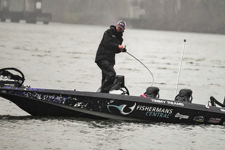 NPFL Application Process Now Open!