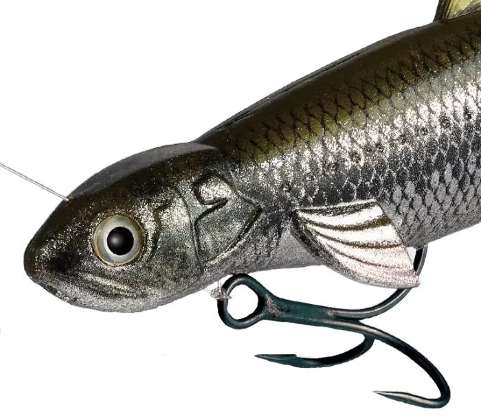 Sophisticated Swimbait From Ever Green International & DAIWA