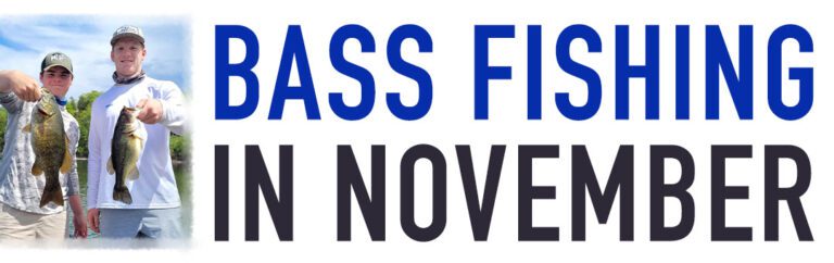 Learn How to Catch More Bass in November!