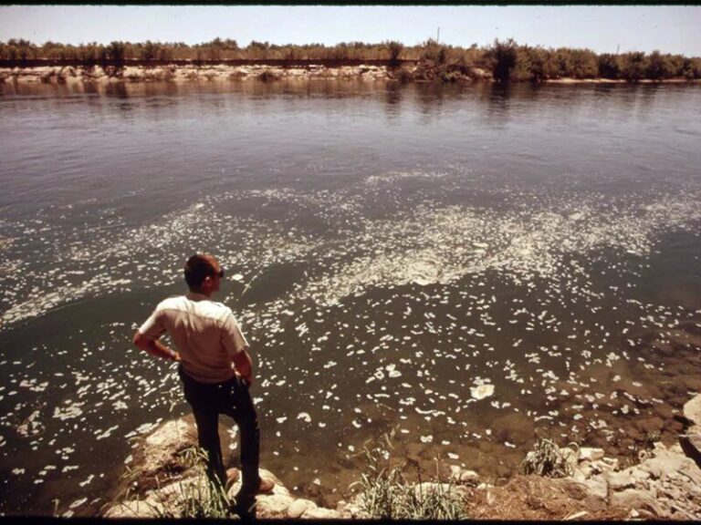 The Clean Water Act: Critical Protections for American Waters and Fish Populations