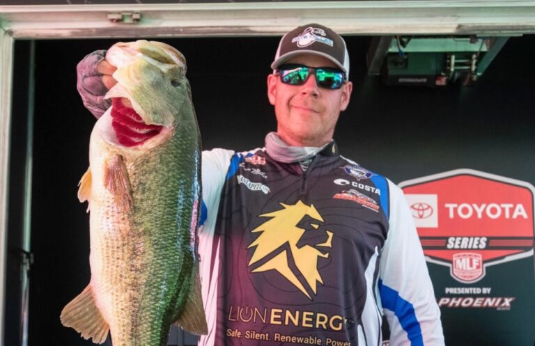 Dave Miller Returns to Bass in 2025