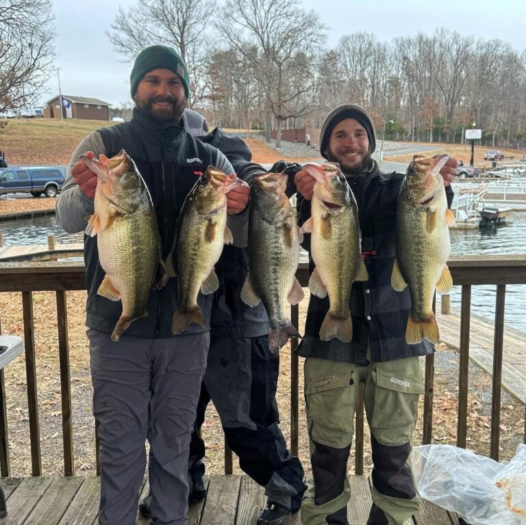 New Lake Anna best five fish limit record with 31.10lbs!!!