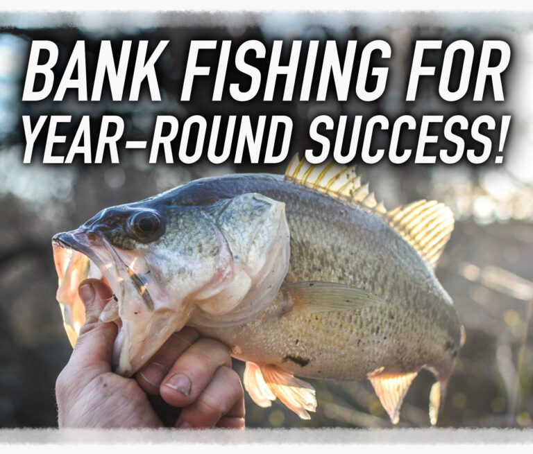 Year-Round Hotspots for Bass Success!
