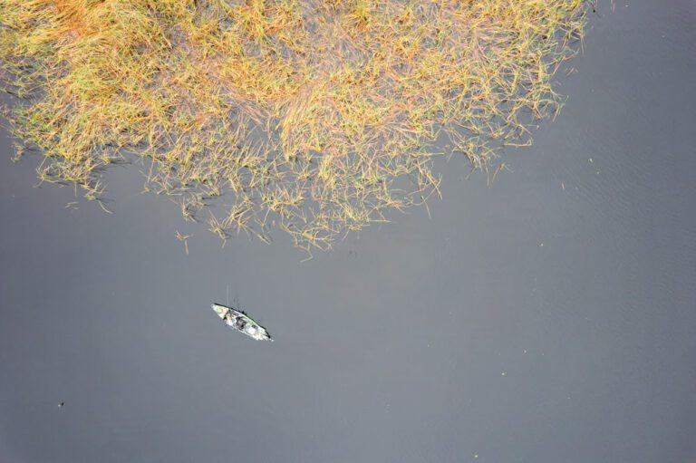 Florida’s Robinson takes it slow and steady for Day 1 lead at Bassmaster Kayak Series at Kissimmee Chain