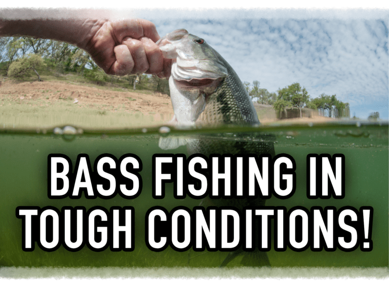 Bass Fishing in Tough Conditions!