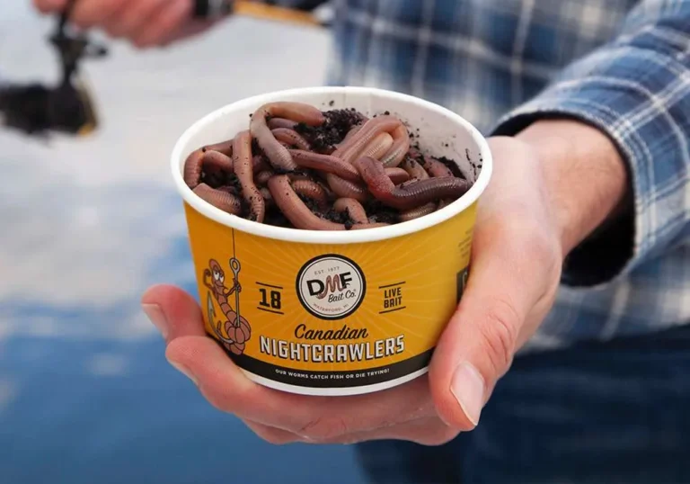 DMF – The Three Letters You Want on Your Bait Fridge