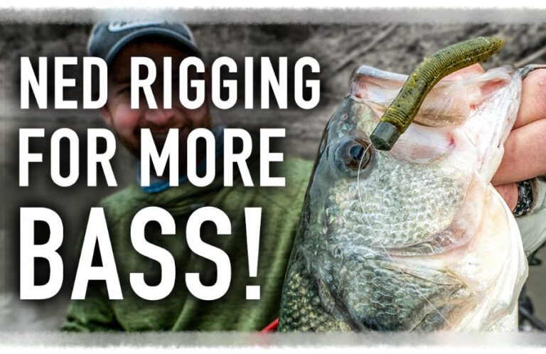 Ned Rig for Big Bites from Bass!