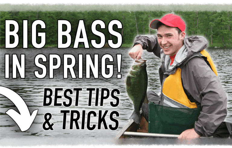Catching Big Bass in Spring!