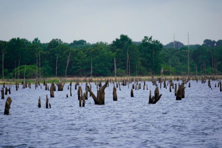 Lake Fork offers tremendous potential for Bassmaster Elite field