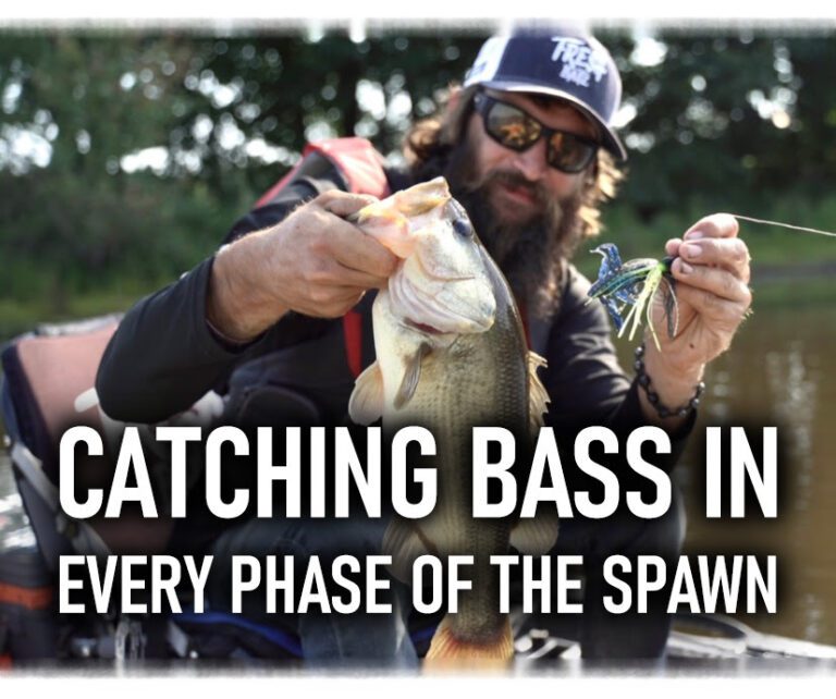Catching Bass in Every Phase of the Spawn!