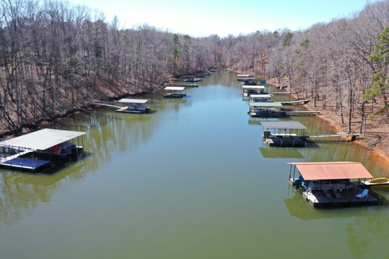 Herring spawn likely to play big role in Whataburger Bassmaster Elite at Lake Hartwell