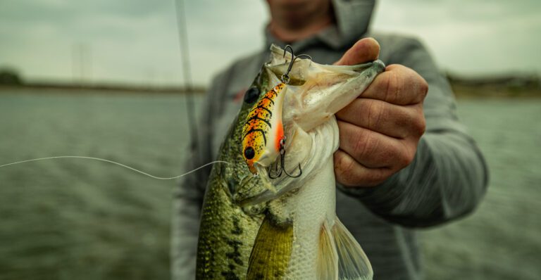 The Science of Single Hookups: Why Pros Land Giants on Just One Point