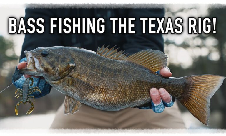 Texas Rigging for More Bass!