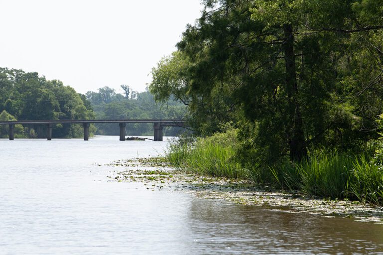 Vast Sabine River fishery sets stage for Bassmaster Elite Series drama