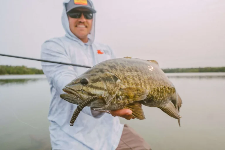 Big Bite Introduces Thresher Worm