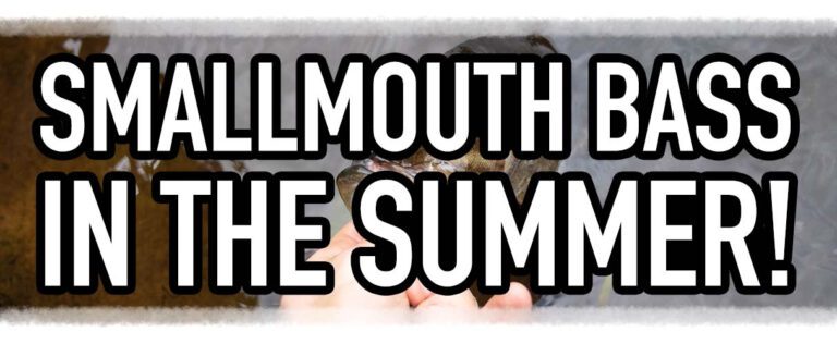 How to Catch More Summer Smallmouth!