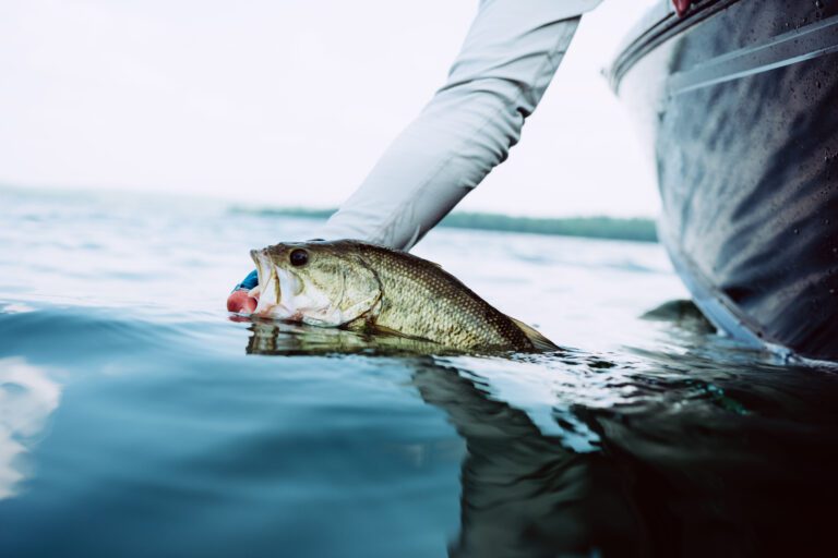 4 Ways to Catch More Summer Reservoir Bass