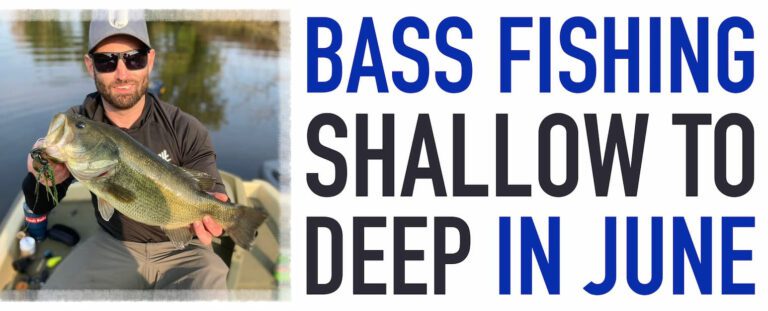 Shallow to Deep this Summer!