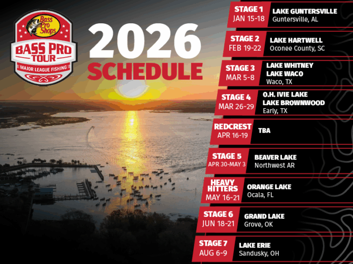 MLF Schedule