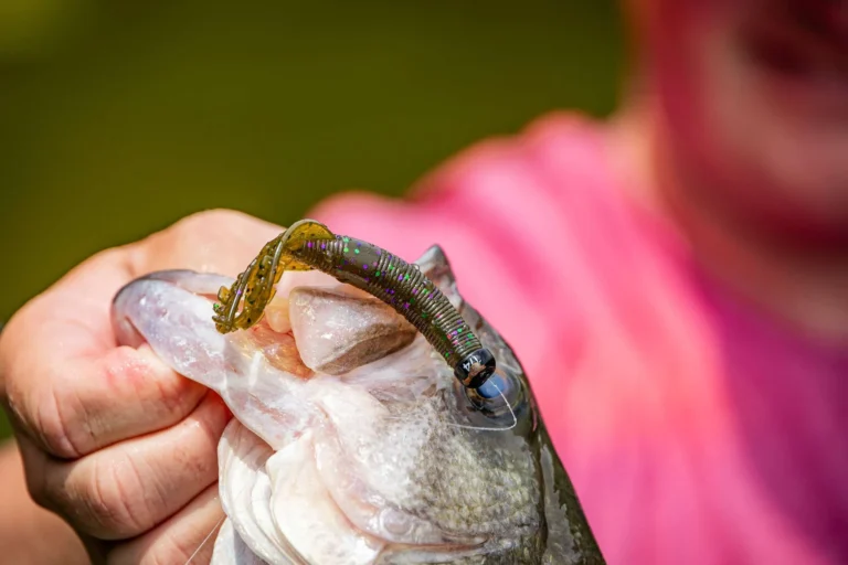 Yamamoto Shinobi Grub Arrives