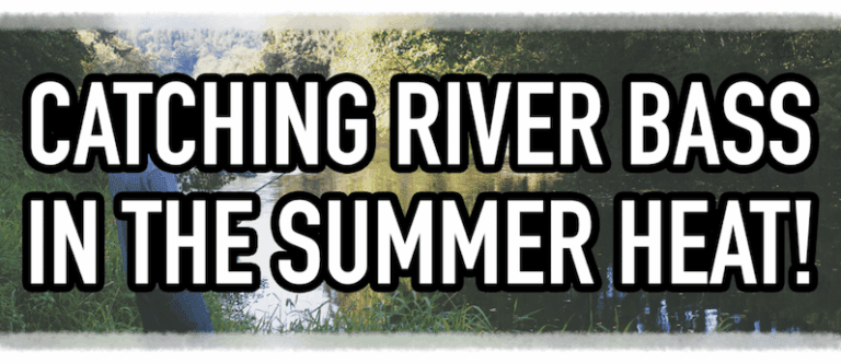 Fish Rivers for More Bass in Summer!