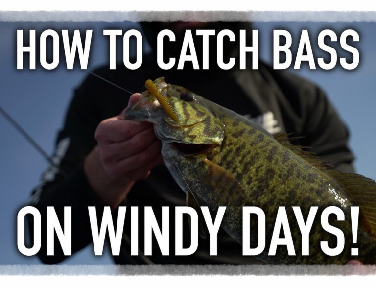 How to Catch Bass on Windy Days!