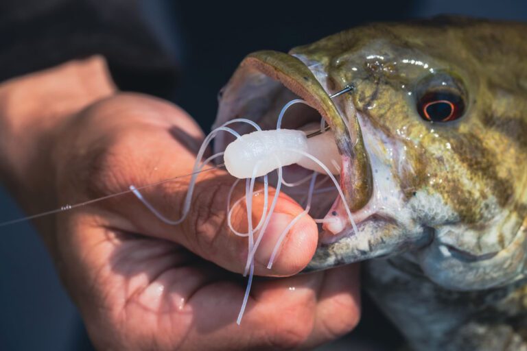 New Z-Man® Fuzzy bait system leads with longevity, superior value and off-the-charts fish attraction