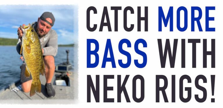 Master the Neko Rig for More Bass!