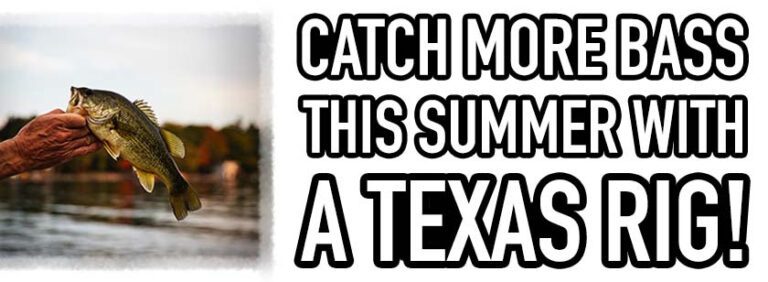 Texas Rig for Bass this Summer!