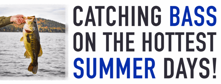 Bass Fishing in Hot Weather!