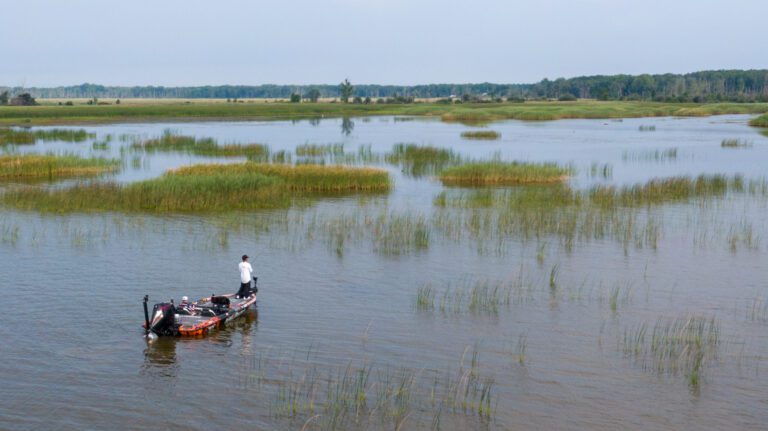 HOOKED ON THE EDGE: Chasing Monster Bass Where the Weeds Meet the Water