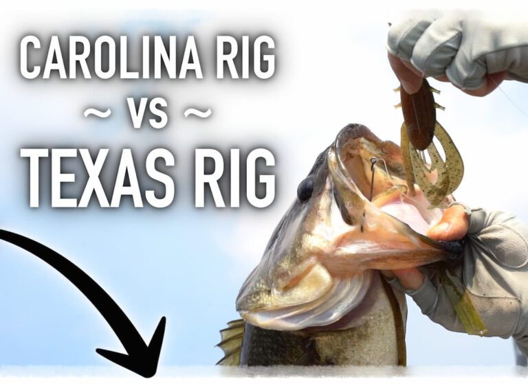 Carolina Rig vs. Texas Rig!