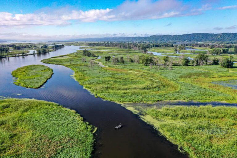 Seasonal movement critical in Bassmaster Elite finale at Upper Mississippi River