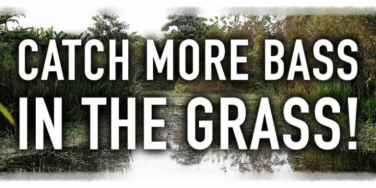 Flipping Thick Grass for Bass!