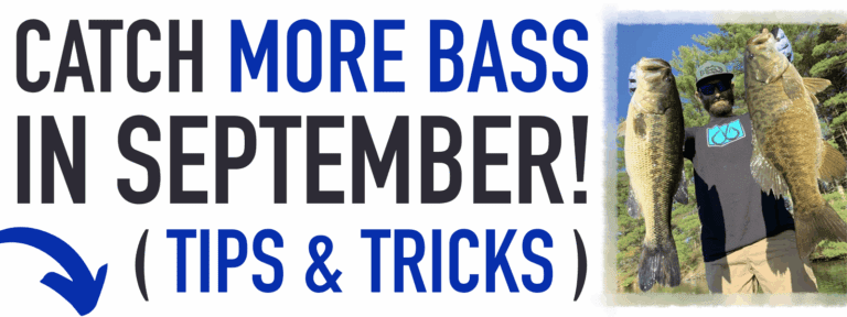 Bass Fishing Tips for September!
